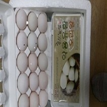 효산농장 효산유황오리알 먹거리X파일 130회 검증 진품 유황 오리의알 특허2개 등록, 1개, 30알