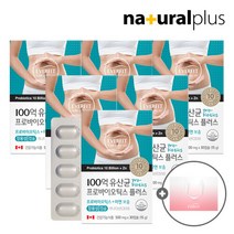 [에버핏] 장용성 100억 유산균 프로바이오틱스 30캡슐 6박스 + 에버핏 쇼핑백, 단일속성