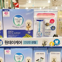 원데이케어 애견관절_치석케어 15g X 40개, 단품, 단품