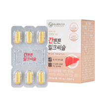 웰빙플러스 간튼튼 밀크씨슬 900mg, 27g, 1개