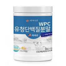 WPC 유청단백질 분말 300g 미국산100% HACCP 인증제품, 4통