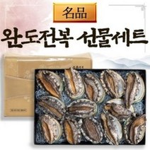산지직송 완도 전복 선물세트 설 명절 어르신 선물 활전복 중 대 특대전복 1kg 2kg 보양식 찜 산모용 삼계탕 고급 부직포 포장, 3.활 전복 선물세트 3호