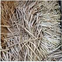 2년근 묘삼 1차 (750g) 700종 수경 or 토경 재배용 새싹쌈 새싹용 모종 수경재배 인삼키우기 무농약인증 새싹인삼