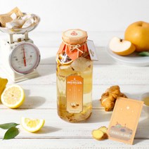 [선물박스 포장]묘약 진저페어 담금주키트 500-하루종일 너만 생강해, 1병, 500ml