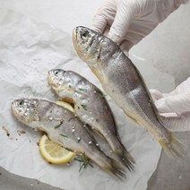 굴비다움 영광 법성포 엮걸이 굴비 20미 / 40미 모음, 1) 20미 1.0kg(마리당50g)
