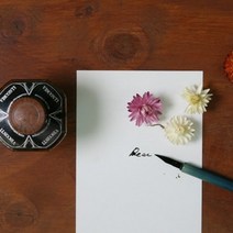 기타 바보사랑[무즈앤뷰즈]디어 캘리그라퍼