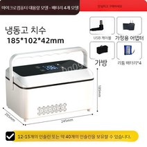 의료용 아이스박스 쿨러 소형 휴대용 냉장고 충전식, C