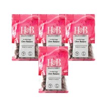 홀랜드앤바랫 노 애디드 슈가 초콜릿 건포도 125g Holland & Barrett No Added Sugar Choccy Raisins, 4팩