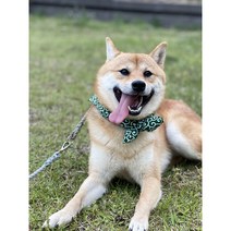 시바견 스카프 당초무늬 강아지 고양이 스카프 반다나 목걸이 목도리, 레드