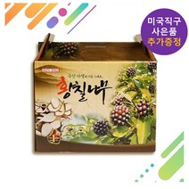 황칠나무즙 엑기스 황칠나무열매 100ml 60개입 1박스 사은품 증정, 1개