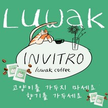[당일 로스팅 출고] 인비트로 루왁 사향고양이 저카페인 발효커피 (원두 드립백), 드립백