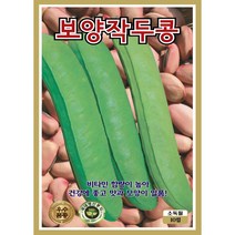 보양작두콩 콩씨앗 10립