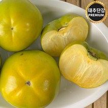 창원 태추단감 햇단감 배단감, 1박스, 2kg