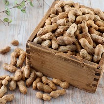 국산 햇 땅콩 피땅콩 생땅콩 / 볶음땅콩 볶은땅콩 / 삶아 먹는 싱싱한 생땅콩, 생땅콩 3kg, 1개