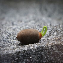 발아 연꽃 씨앗 1개, 없음