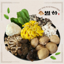 [식당 별하]100% 국내산 최고급 버섯 사용 버섯전골 밀키트(1.5인분 일회용 냄비), 1개