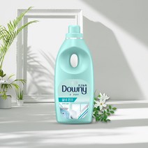 다우니 엑스퍼트 실내건조 프레시 클린 초고농축 섬유유연제 본품 1L 1개, 향균파워 플러스 1L D061, 향균파워 플러스 1L D061