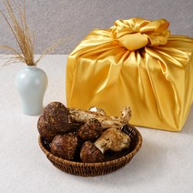 자연산 송이버섯 생송이버섯 선물세트 설 추석 명절 선물용, 1박스, 1품 500g +보자기포장