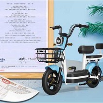 어르신전동차 삼륜 노인 바이크 전동 스쿠터 관부가세포함, M