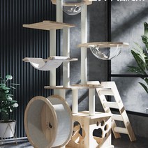 자작 캣타워 원목 선반형 새끼 애기 고양이 아기, 고양이긁는판기본모델-단단한나무기둥황마