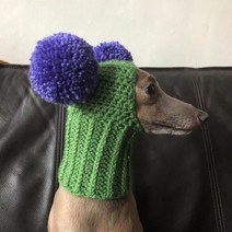 애완동물아주 귀여운 핸드 우븐 이탈리아 그레이하운드 모자 폼폼 2 개 포함 애완 동물 용, 02 Green_01 head 27cm