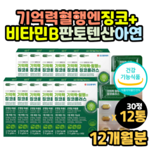 대용량 아연 징코 징코빌로바 혈행개선 기억력개선 도움 나이이아신 은행잎추출물