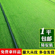인공 베란다 롤 마당 카페트 옥상 카페 실내 잔디 시뮬레이션 인조 잔디 쿠션 인조 잔디, 2cm 암호화 버전 폭 2m  길이 25m 50제