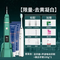 치아 치석 제거기 초음파 셀프 스케일링 도구 가정용 스켈링, Y1그린+음파전동칫솔+미백치약100gx2