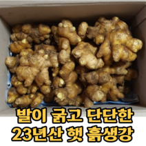 23년 국산 토종 흙생강 햇 생강 1kg 신선 햇생강 특상품 국내산흙생강 국산생 흙 생강 비세척