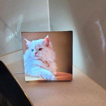 캔버스 LED 조명액자 주문제작 강아지 고양이와의 추억 담기, 정사각형 20cm x 20cm