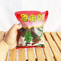 알송이 소나무 분재 고형 고체 유박 비료 퇴비 관엽 식물 영양제 알 거름