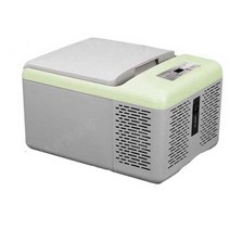 차량용 이동식 냉장고 소형 12v 냉온양용 캠핑 화장품, C9P - 12V/24V