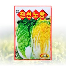 농사친구 진선노랑배추 1000립 씨앗 동원 씨 종자 김장 배추 무 채소 텃밭 베란다 모종 불암 토광 알타리 베타, 1봉