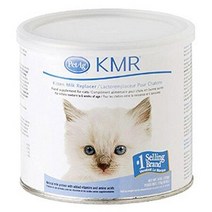 고양이펫밀크 고양이 분유 펫밀크 170g 케이엠알, 상세페이지 참조