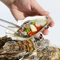 [맛통영] 통영 산지직송 제철 최상급 생굴 깐굴 굴 석화 각굴 하프셀 반각굴 1kg, 석화5kg