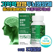 은행잎 추출물 집중력 수험생 뇌 영양제 플라보놀 효능 청소년 공부 징코빌로바 기억력 두뇌케어 메티오닌 세포분열 비타민b2 L이소로이신 어르신 부모님 선물 공시생 대치동 고시생 기억력영양제 함성향료없는 수험생뇌영양제 은행잎추출물플라보놀36
