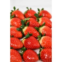 한알씩 개별포장 비타베리 논산 딸기 GAP 친환경 특상 설향딸기 1kg 1.5kg, 1개, 설향딸기 1kg 특상 500g 2팩