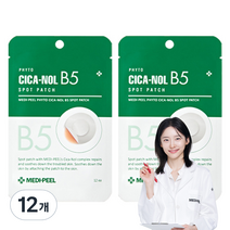 메디필 피토 시카놀 B5 스팟 패치 S, 48개, 48개입