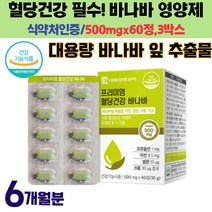 프리미엄 혈당 건강 필수 개별포장 바나바 잎 영양제
