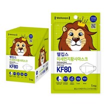 웰킵스 미세먼지황사마스크 대형 KF80, 1개, 100개, 백색
