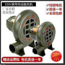 220V 원심 분리 아궁이 바람 기기 바베큐 미니송풍기, T23-주물석쇠 구리 코어