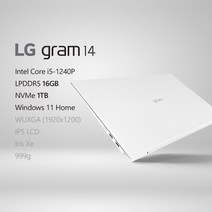LG전자 2022 그램14(12세대) 14ZD90Q-GX56K [프리미엄 패키지] + 사은품 증정, Win11 Home, 16GB, 1TB
