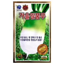 가을일품무씨앗 1000알 무씨앗 김장무 가을무 씨앗