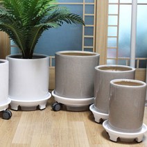 도희네화분 프리미엄유광화분 그레이컬러 분갈이용화분 실내용 도자기화분, 프리미엄_유광그레이03(로라물받이6호)