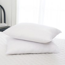 2개세트 기획 베개솜(40x60), 혼합[00]_O12AZ203S