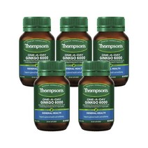 Thompsons 톰슨 은행잎 추출물 Ginkgo 6000mg 60정, 5개
