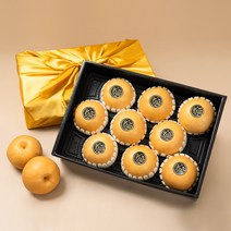 농부들의수확 과일선물세트 배/사과/한라봉/황금향/샤인머스켓 혼합 과일세트, 07.나주배선물세트 특품2호(7.5kg 9-10과)