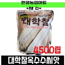 채소-대학찰옥수수 2000립/농우바이오/연농1호씨앗/종자, 농우-대학찰옥수수 2000립