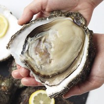 산지직송 거제도 해녀 자연산 바위굴 벚굴 하프셀 석화5kg, 1개