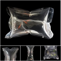 물고기 금붕어 키우기 포장지 밀봉 밀폐 봉지 10장, 2피쉬비닐20X25cm10p